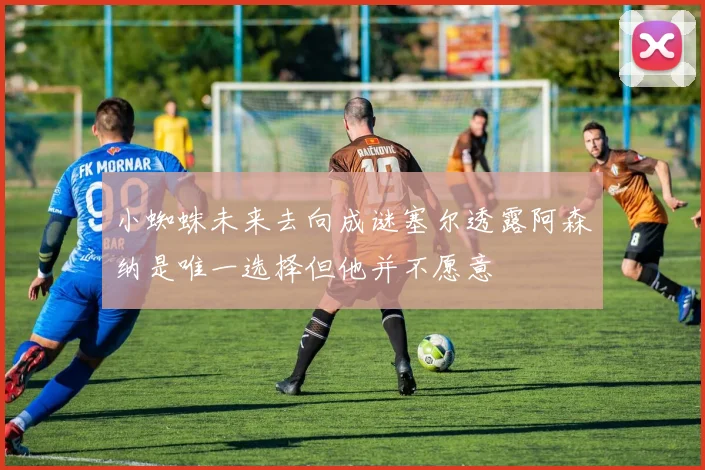 小蜘蛛未来去向成谜塞尔透露阿森纳是唯一选择但他并不愿意